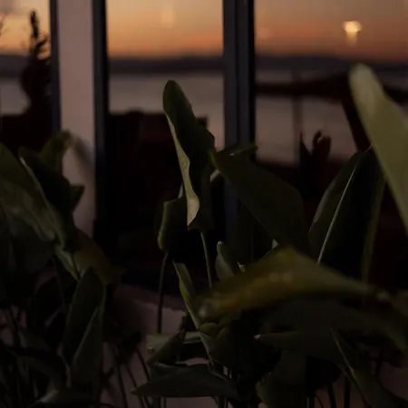 @before Sunset Отель *